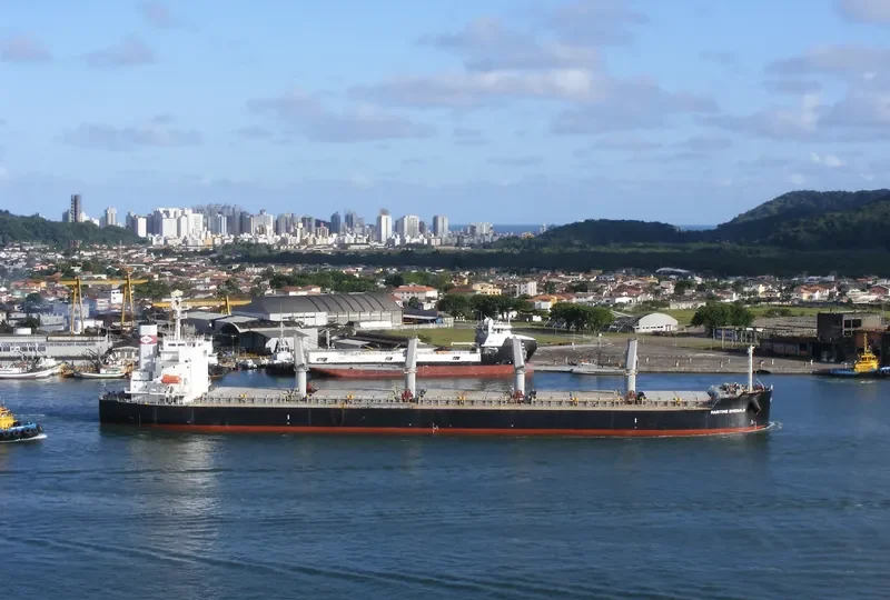 ATHERINA Bulk Carrier IMO 9403152 photo 6