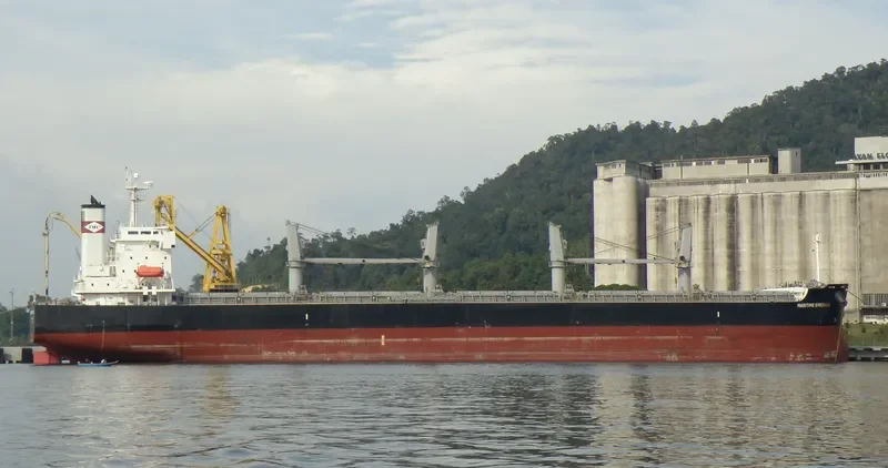 ATHERINA Bulk Carrier IMO 9403152 photo 7