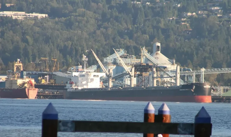 ATHERINA Bulk Carrier IMO 9403152 photo 8