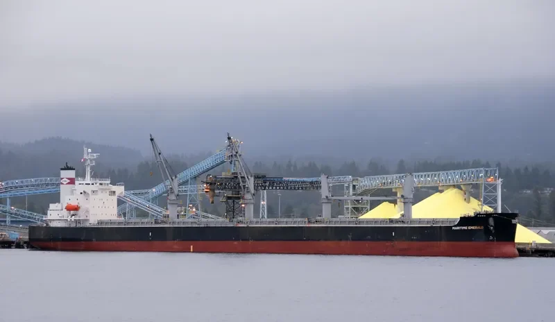 ATHERINA Bulk Carrier IMO 9403152 photo 10