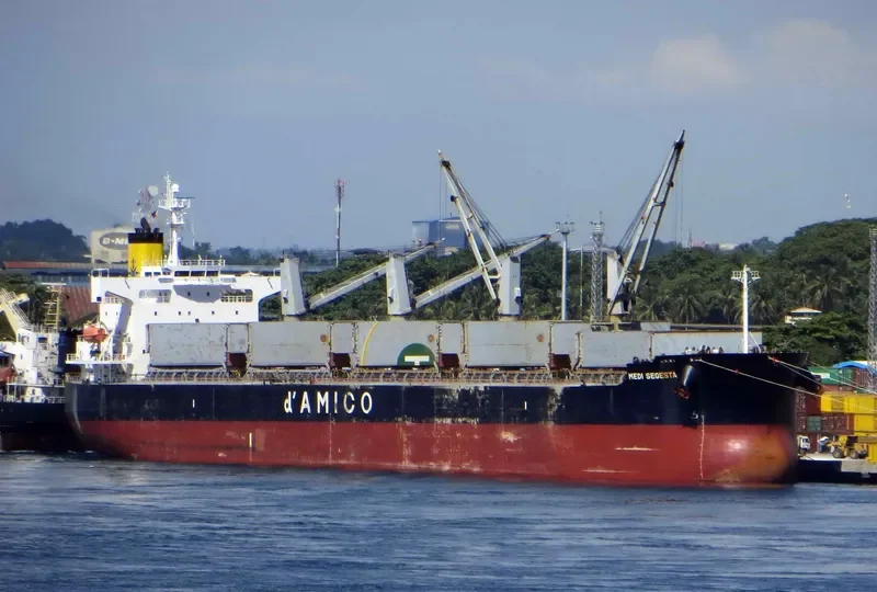 ARFIANIE AYU Bulk Carrier IMO 9403164 photo 2