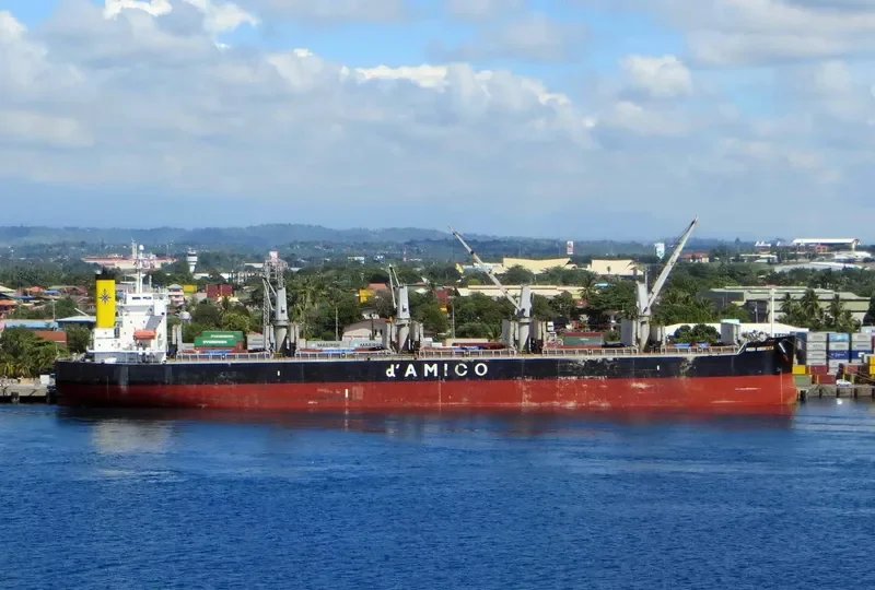 ARFIANIE AYU Bulk Carrier IMO 9403164 photo 3