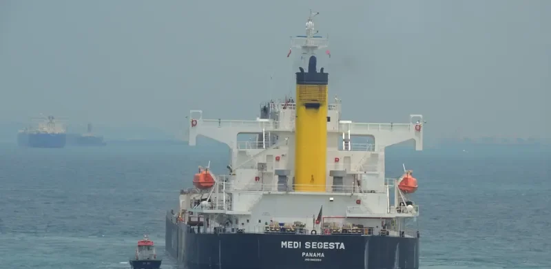 ARFIANIE AYU Bulk Carrier IMO 9403164 photo 8
