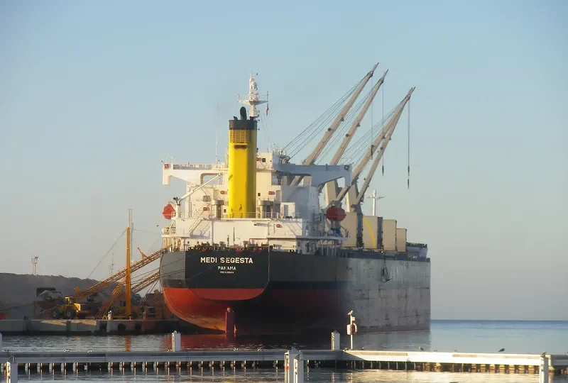 ARFIANIE AYU Bulk Carrier IMO 9403164 photo 9