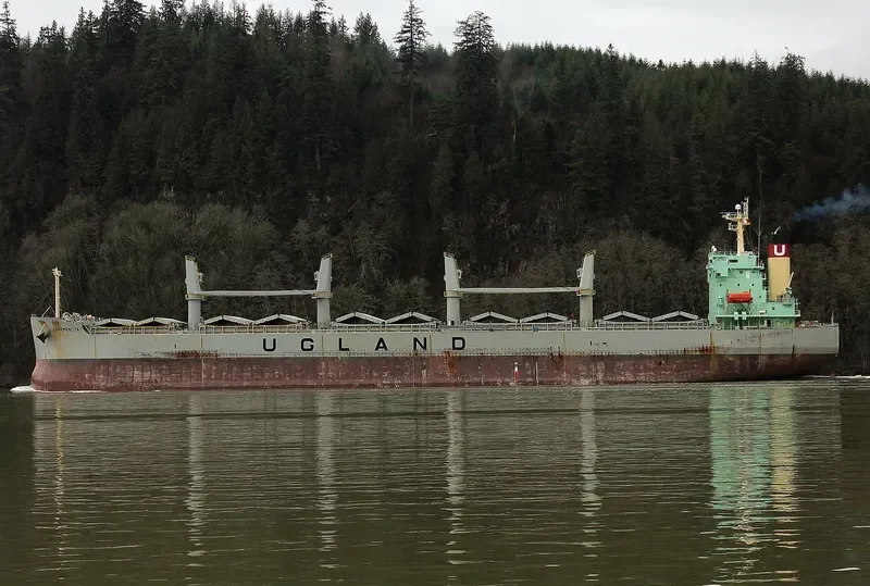 CARMENCITA Bulk Carrier IMO 9403176 photo 4