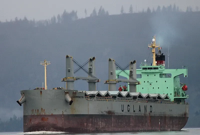 CARMENCITA Bulk Carrier IMO 9403176 photo 5