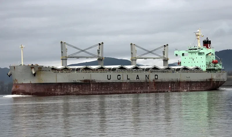 CARMENCITA Bulk Carrier IMO 9403176 photo 6