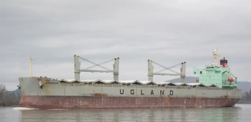 CARMENCITA Bulk Carrier IMO 9403176 photo 8
