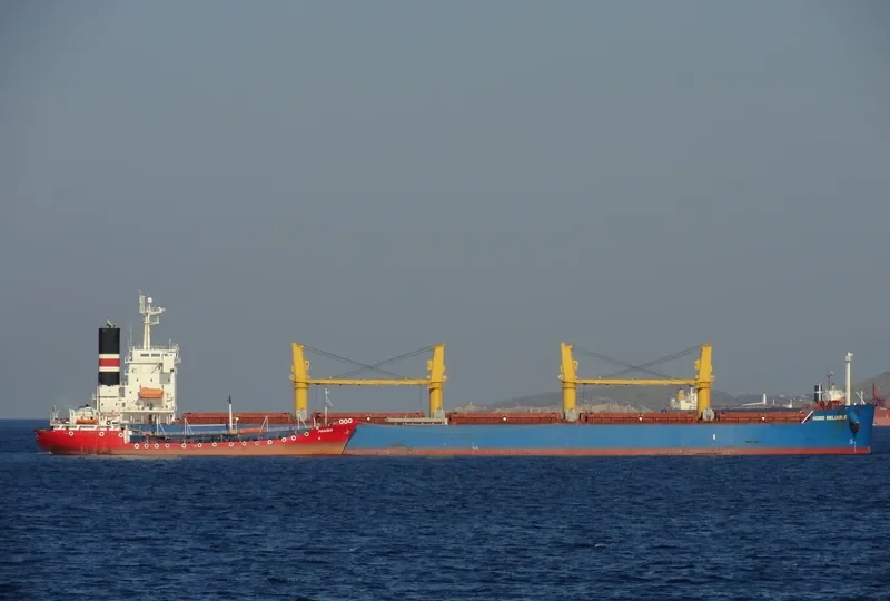 GLOBE PEGASUS Bulk Carrier IMO 9403188 photo 8
