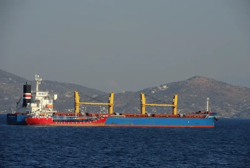 GLOBE PEGASUS Bulk Carrier IMO 9403188 photo 9