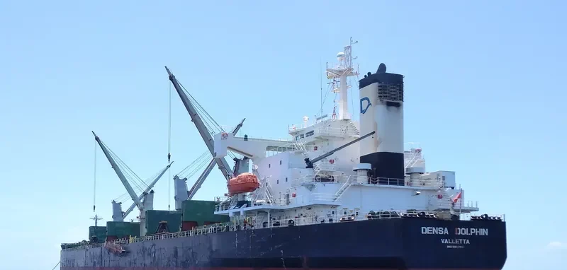 DENSA DOLPHIN Bulk Carrier IMO 9403190