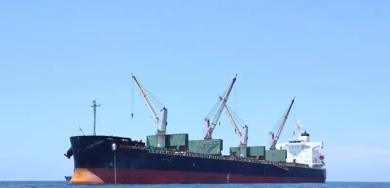 DENSA DOLPHIN Bulk Carrier IMO 9403190 photo 2