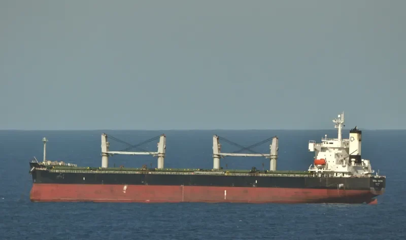 DENSA DOLPHIN Bulk Carrier IMO 9403190 photo 3