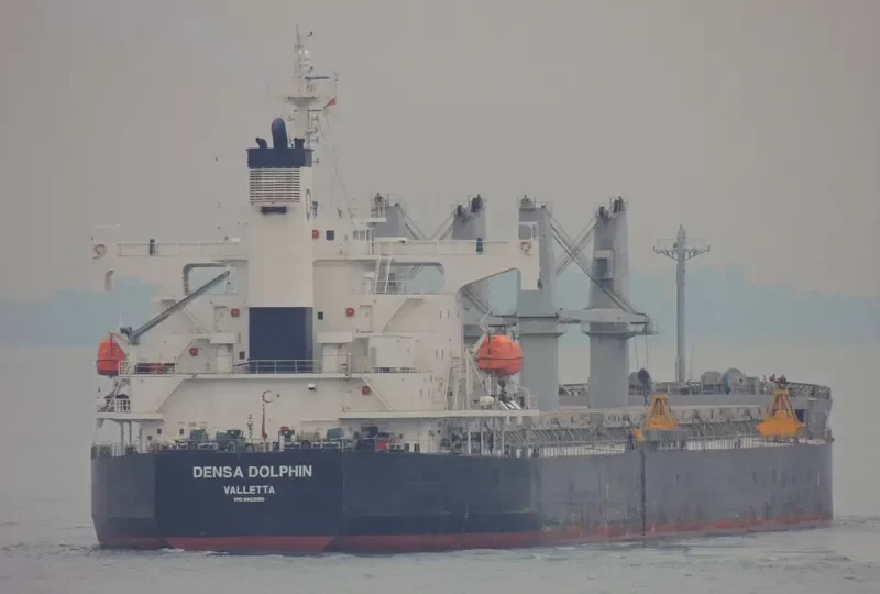DENSA DOLPHIN Bulk Carrier IMO 9403190 photo 4