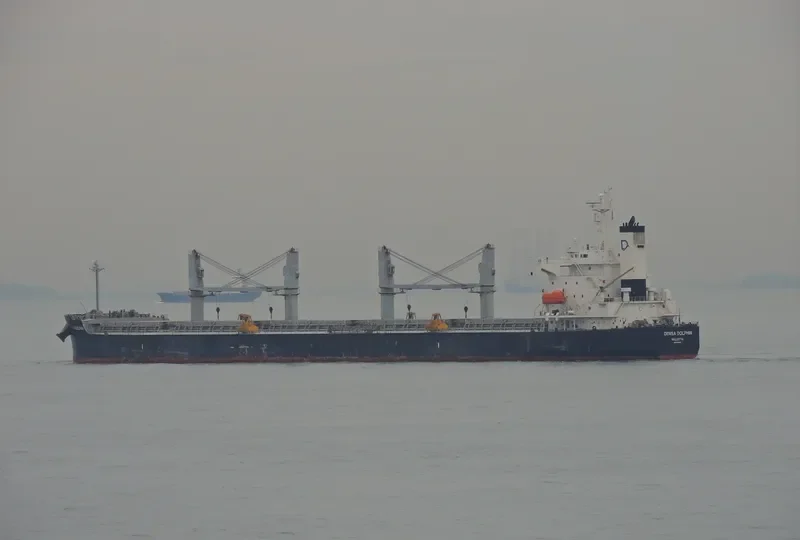 DENSA DOLPHIN Bulk Carrier IMO 9403190 photo 5