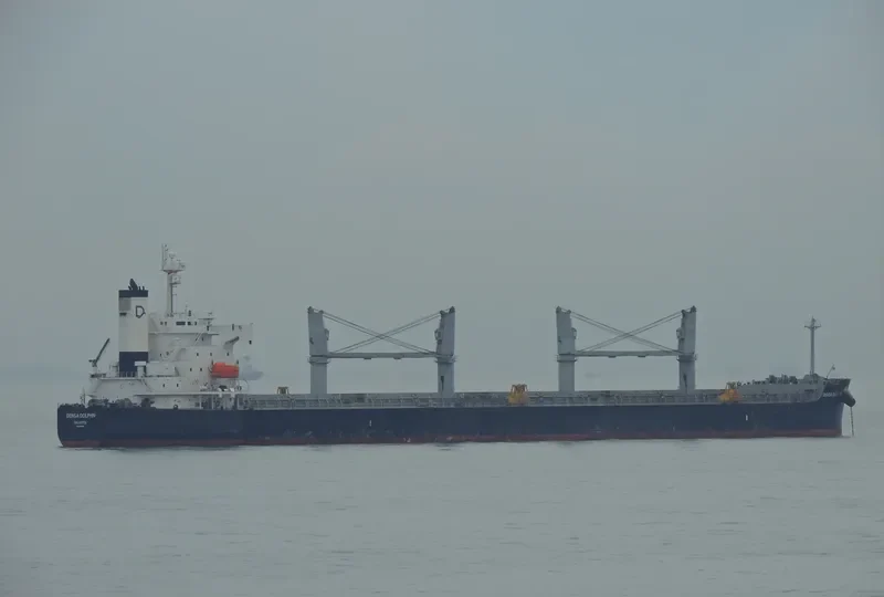 DENSA DOLPHIN Bulk Carrier IMO 9403190 photo 6
