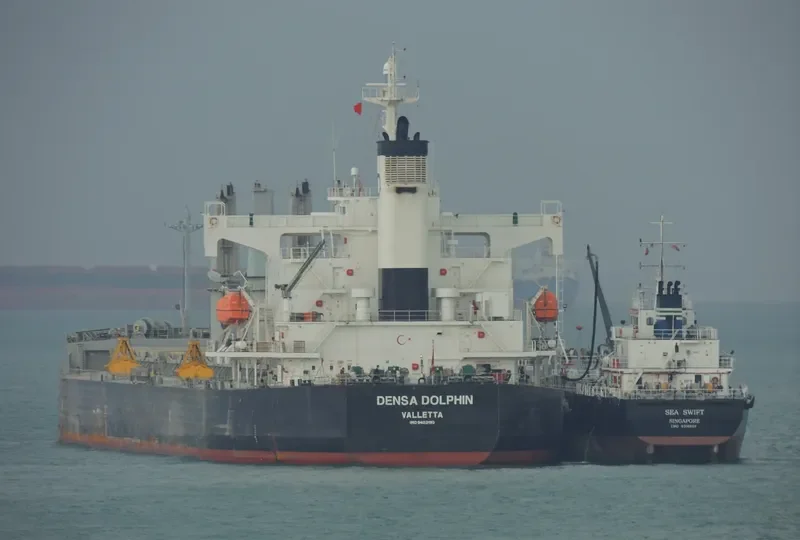 DENSA DOLPHIN Bulk Carrier IMO 9403190 photo 7
