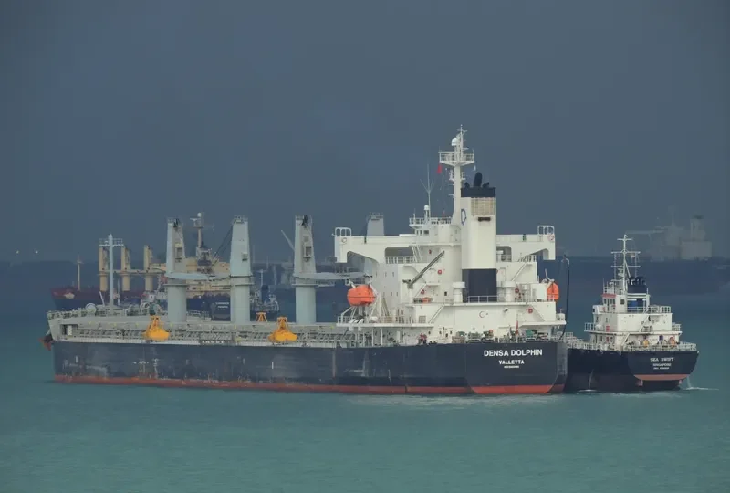 DENSA DOLPHIN Bulk Carrier IMO 9403190 photo 8