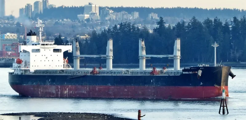 DENSA DOLPHIN Bulk Carrier IMO 9403190 photo 9