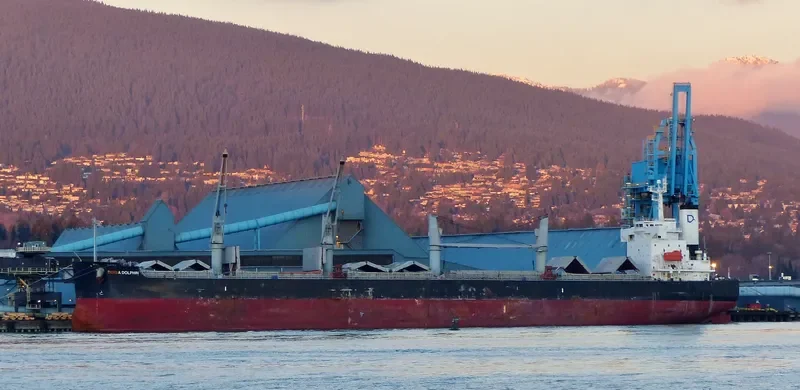 DENSA DOLPHIN Bulk Carrier IMO 9403190 photo 10