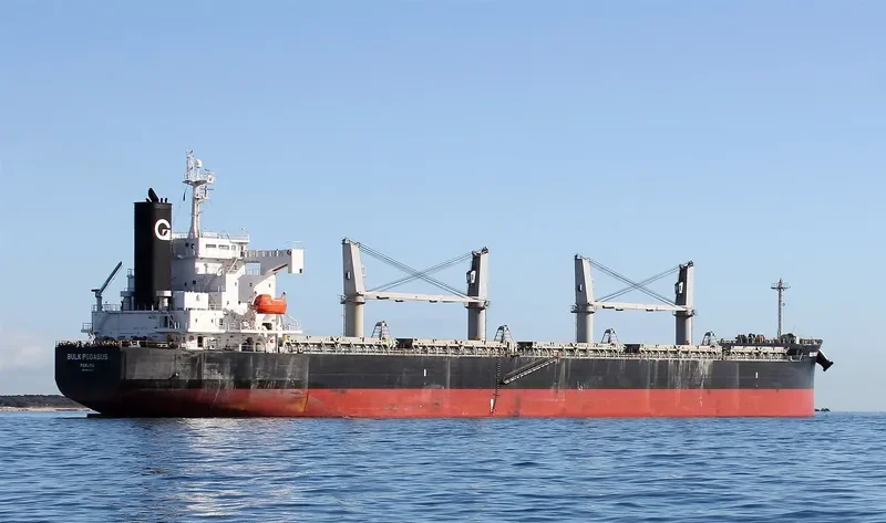 VIENNA Bulk Carrier IMO 9403205 photo 2
