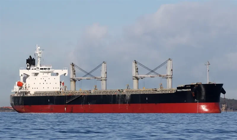 VIENNA Bulk Carrier IMO 9403205 photo 3