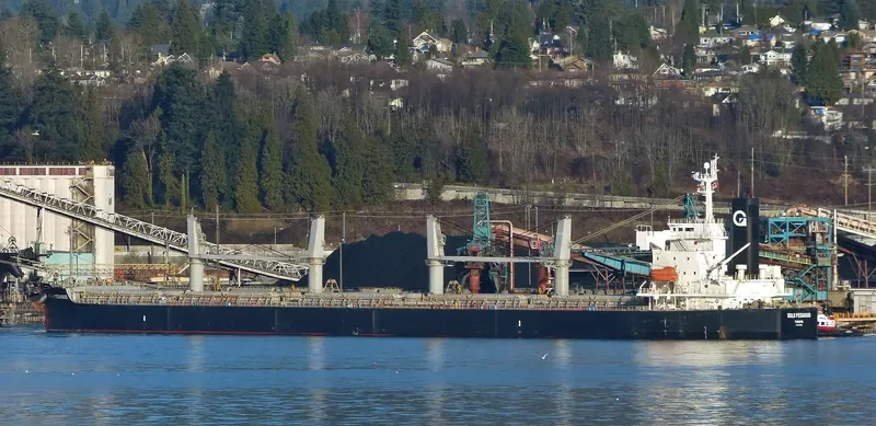VIENNA Bulk Carrier IMO 9403205 photo 4