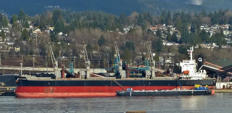 VIENNA Bulk Carrier IMO 9403205 photo 5