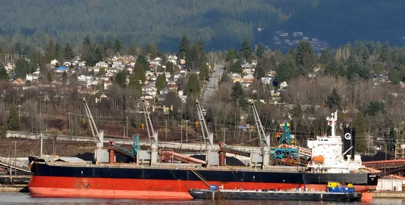 VIENNA Bulk Carrier IMO 9403205 photo 6