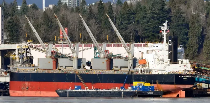 VIENNA Bulk Carrier IMO 9403205 photo 7