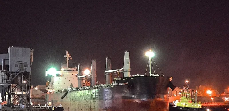 VIENNA Bulk Carrier IMO 9403205 photo 9