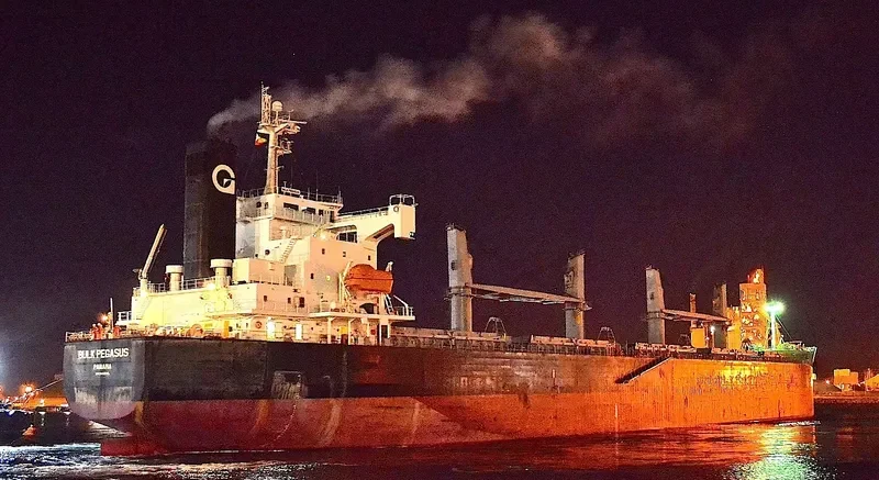 VIENNA Bulk Carrier IMO 9403205 photo 10