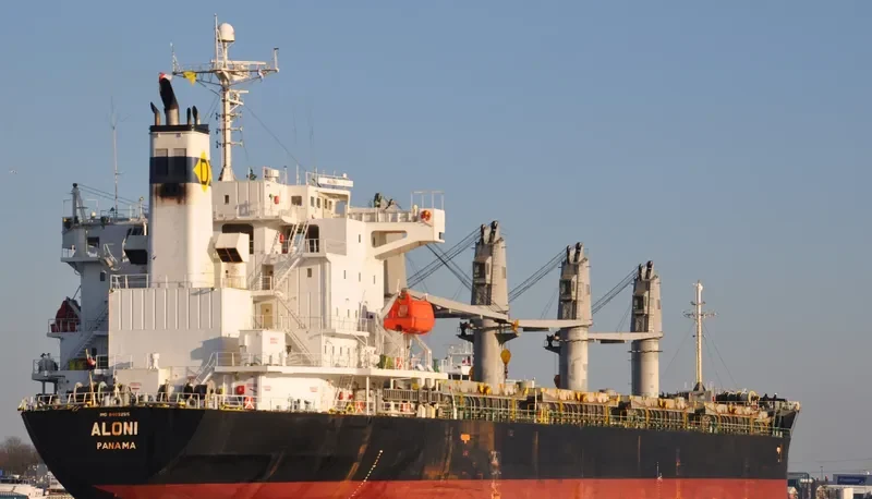 ALONI Bulk Carrier IMO 9403255 photo 8