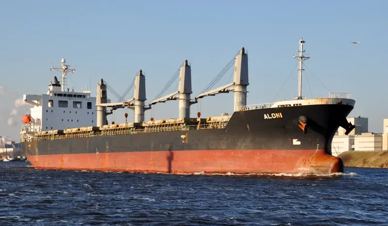 ALONI Bulk Carrier IMO 9403255 photo 9