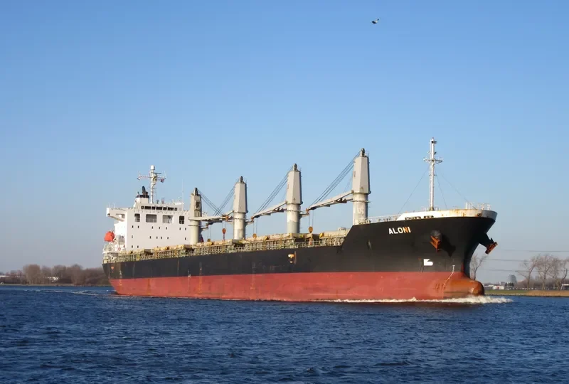 ALONI Bulk Carrier IMO 9403255 photo 10