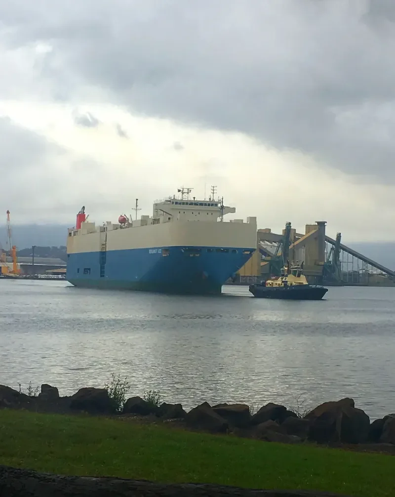 BERGAMOT ACE General Cargo IMO 9403281
