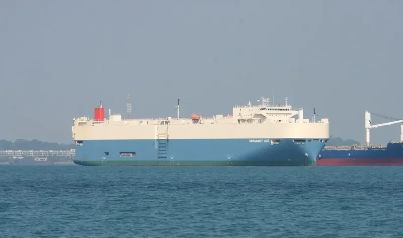 BERGAMOT ACE General Cargo IMO 9403281 photo 2