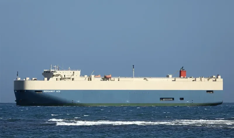 BERGAMOT ACE General Cargo IMO 9403281 photo 4