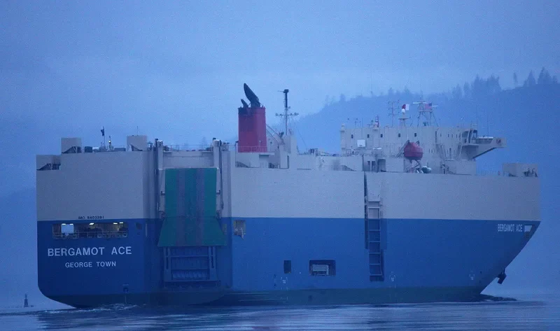 BERGAMOT ACE General Cargo IMO 9403281 photo 6