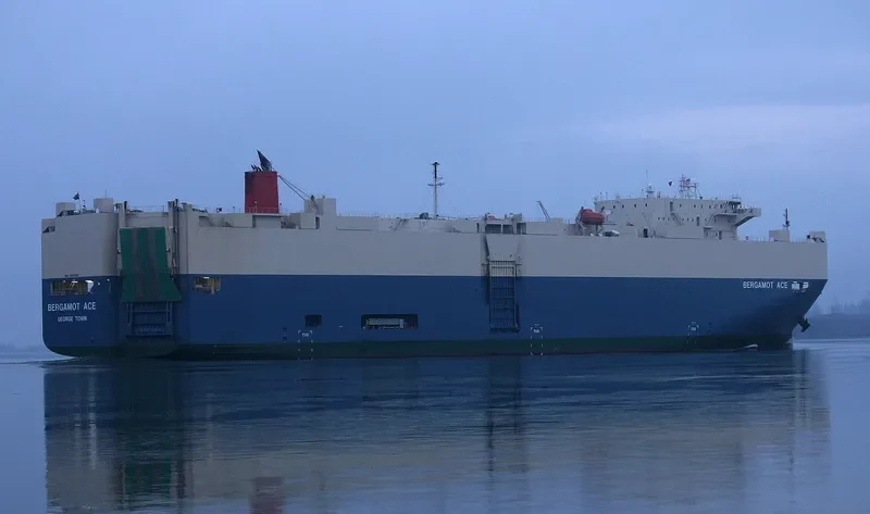BERGAMOT ACE General Cargo IMO 9403281 photo 7