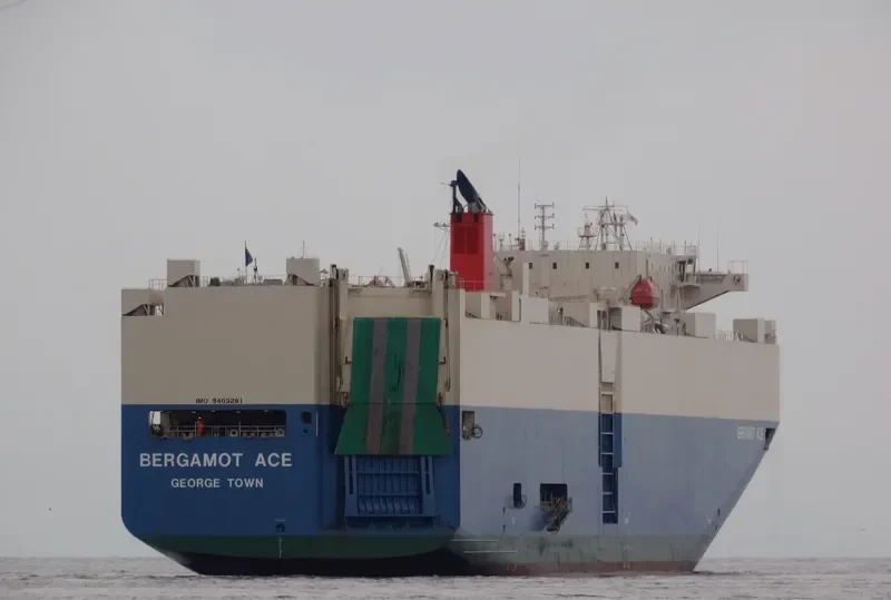 BERGAMOT ACE General Cargo IMO 9403281 photo 10