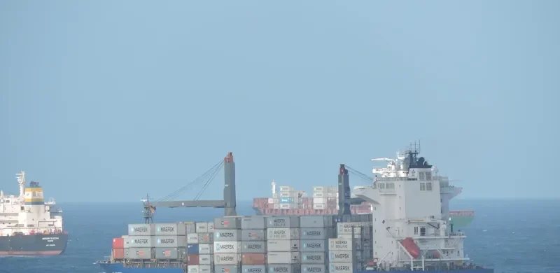 EM SPETSES Container Ship IMO 9403413