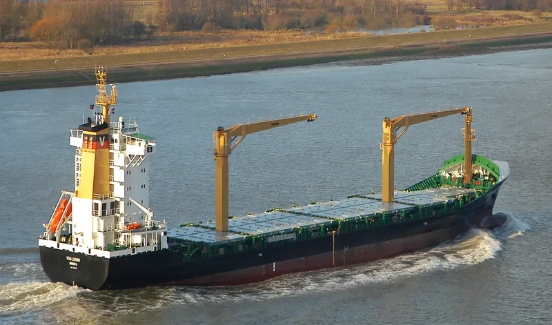 CFS PACENO Container Ship IMO 9403451 photo 8