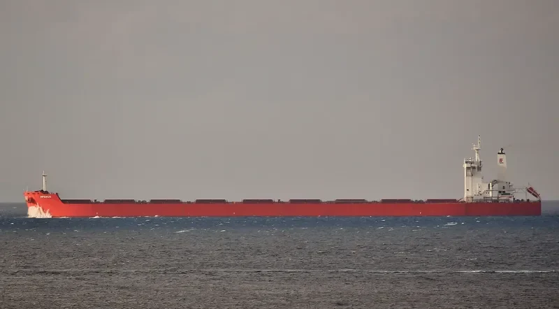 IMPERIUS Bulk Carrier IMO 9403504 photo 3
