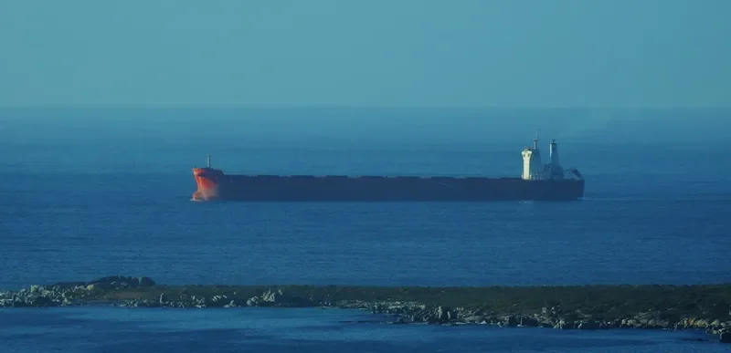 SPARTACUS Bulk Carrier IMO 9403528