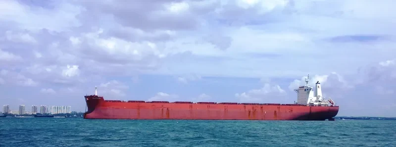 SPARTACUS Bulk Carrier IMO 9403528 photo 4