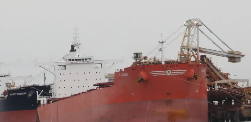 TAURUS Bulk Carrier IMO 9403530 photo 2