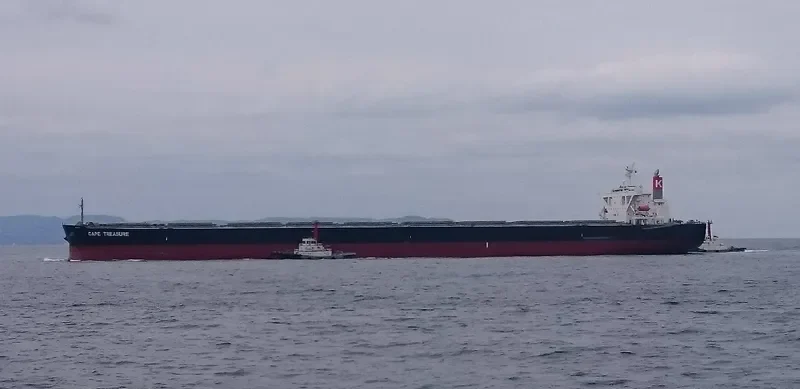 CAPE TREASURE Bulk Carrier IMO 9403607