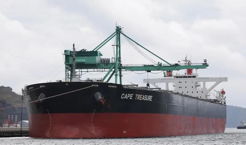 CAPE TREASURE Bulk Carrier IMO 9403607 photo 2