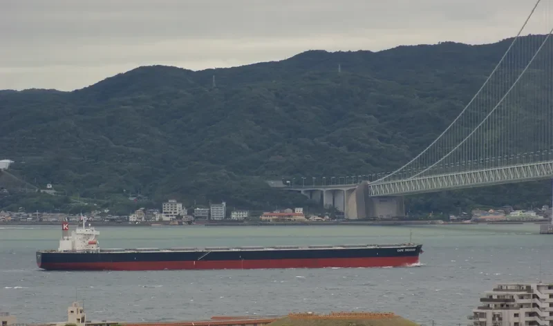 CAPE TREASURE Bulk Carrier IMO 9403607 photo 3